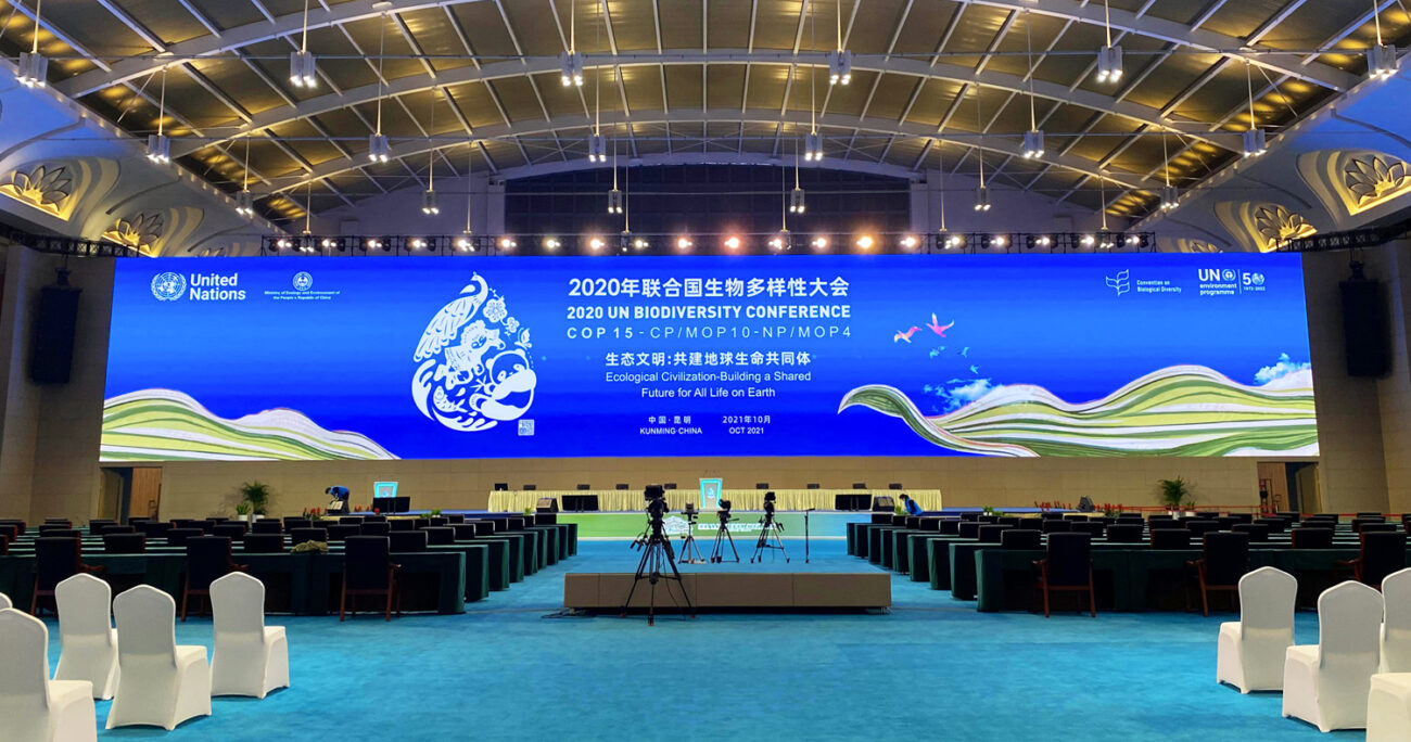 Meeting display screens with specific viewing angle requirements